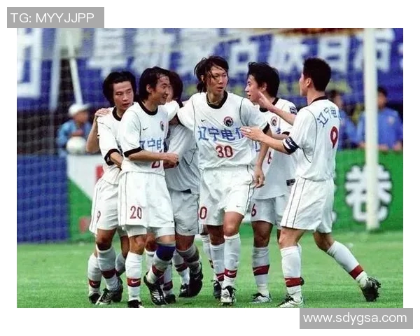 香港足球明星队国脚的辉煌历程与未来展望分析